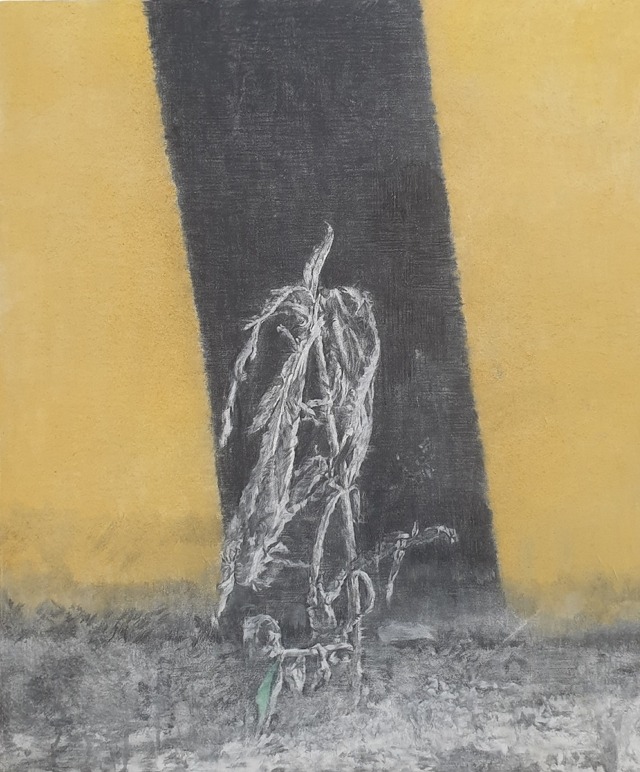Exhibition Poster