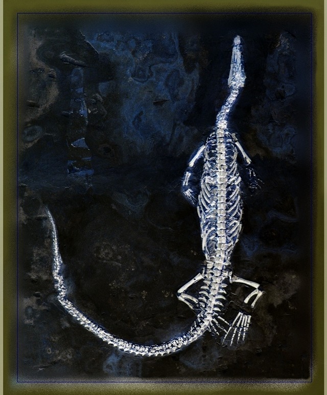 Exhibition Poster