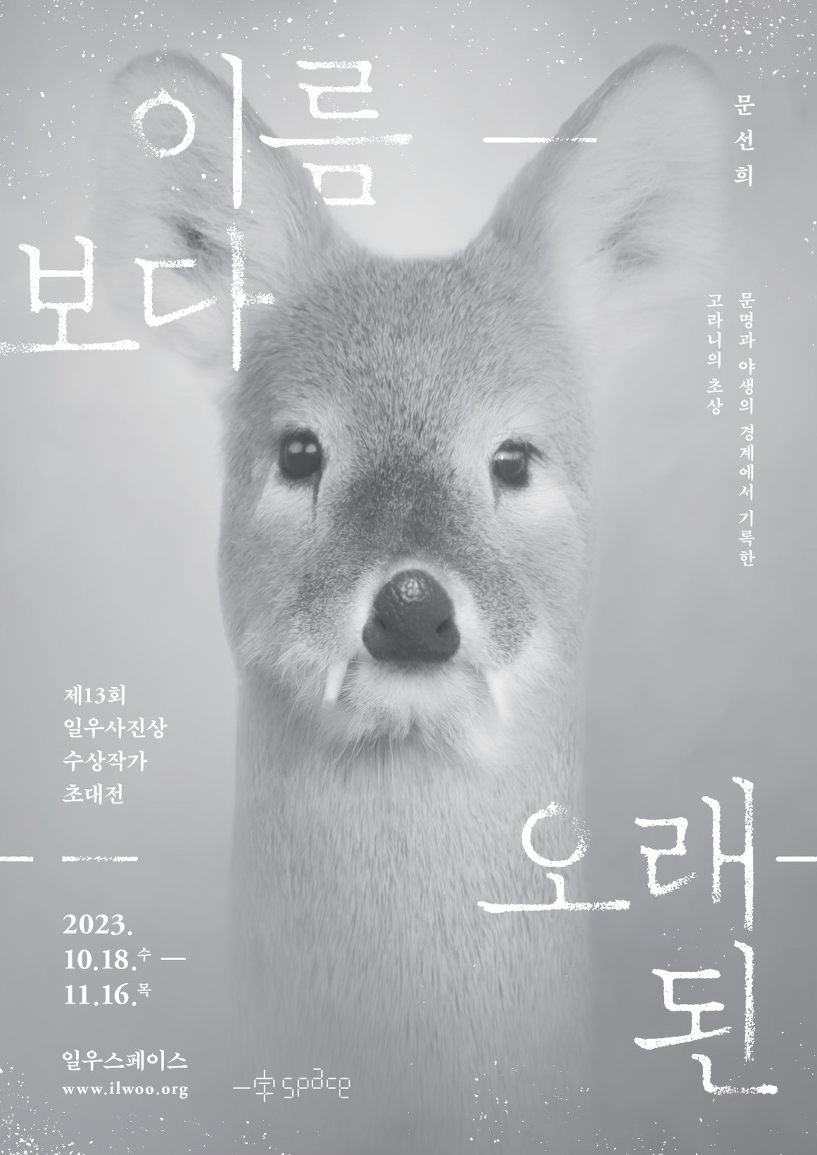 Exhibition Poster