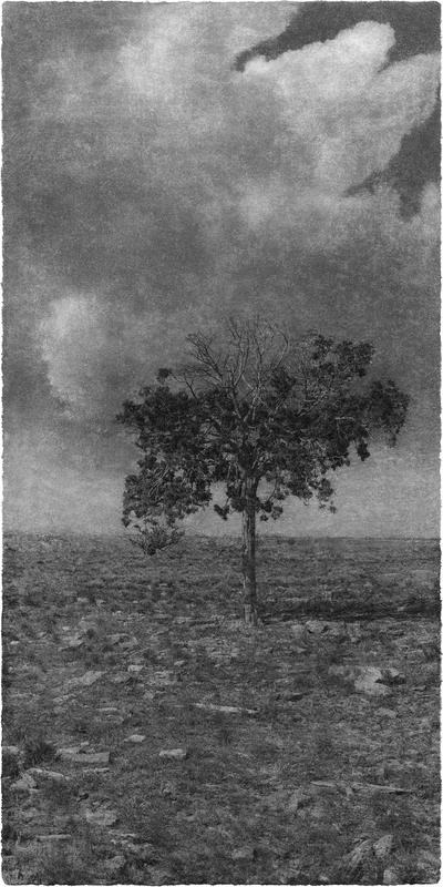 Exhibition Poster