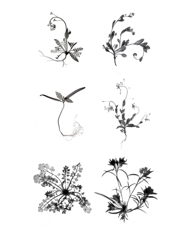 Exhibition Poster