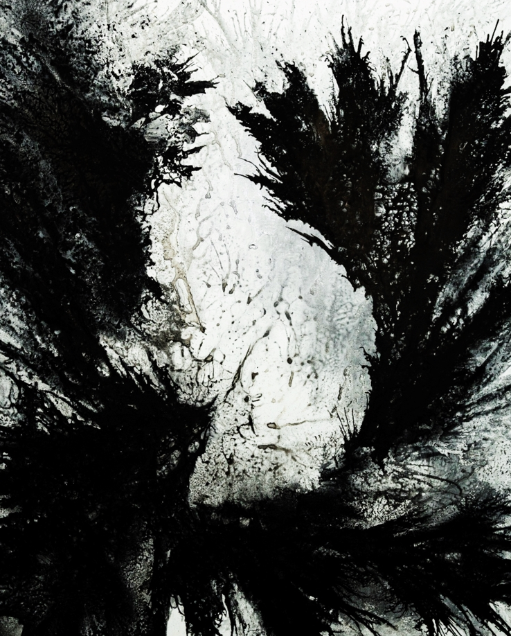 Exhibition Poster